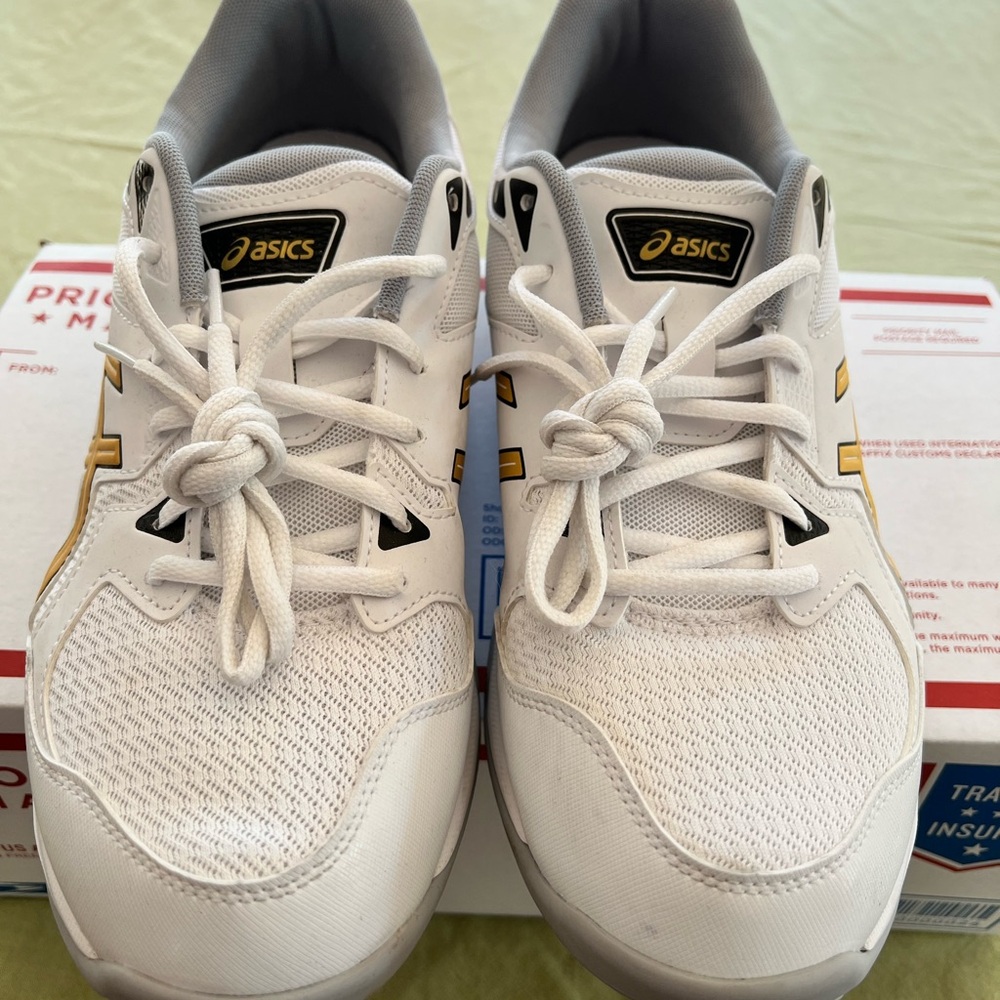 ASICS Gel-Rocket 10. Men’s size 11.